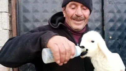 Annesinin kabul etmediği Nokta'yı biberonla besliyor