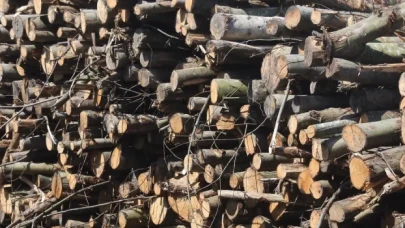 Finlandiya halkı yakacak odun stokluyor