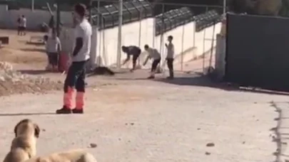 HAYTAP Konya’daki köpek katliamının cezasız kalmasını kabul etmiyor