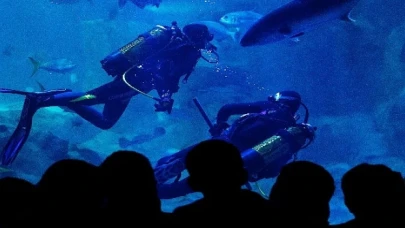 İstanbul Akvaryum’dan Sömestire Özel Etkinllkler