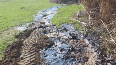 Manisa'da petrol heyecanı: Su ararken buldu