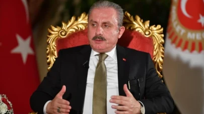 Şentop: Cumhurbaşkanı adaylığı ile ilgili 2018'de düzenleme yapılmıştı