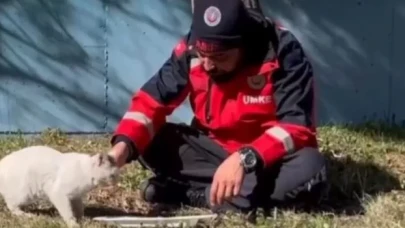 Deprem bölgesinde görev yapan UMKE personeli, yemeğini kedi ile paylaştı