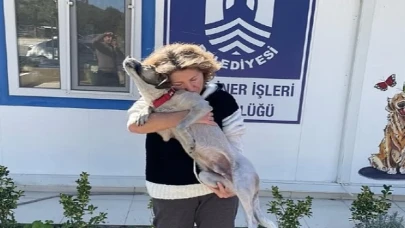 Depremden Kurtulan Ege’nin Hayvan Sevgesi