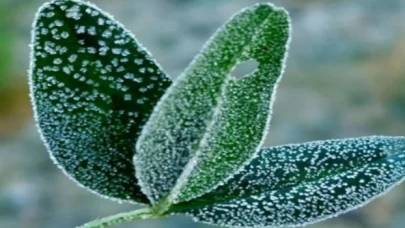 Meteoroloji’den don ve çığ uyarısı