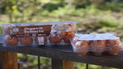 Ordu, yumurtada Araplar’a çalışıyor