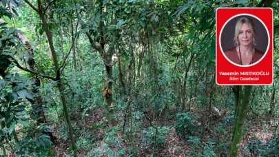 Uludağ’da birşeyler oluyor