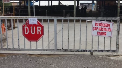 3 şehirde ‘şap’ alarmı: Tüm Türkiye’de izinler iptal edildi