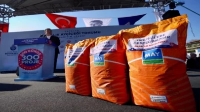 Üreticiye yağlık ayçiçeği tohumu