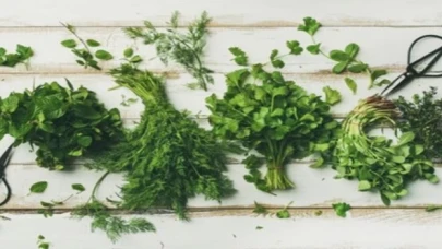 Uzmanından ağız kokusuna karşı tavsiyeler