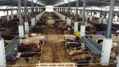 İnegöl Hayvan Pazarı Kotra İhale Tarihi Belli Oldu