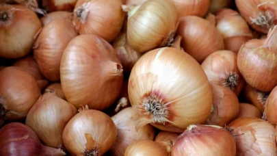 Soğanda hasat başladı: 'Kısa sürede kilosu 10 liranın altına düşer'