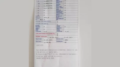 Bedelsiz doğalgaz tüketiminde faturalar kesilmeye başlıyor