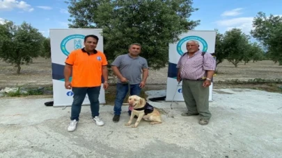 Manisa’da ’Üzüm’ çiftçinin can yoldaşı olacak