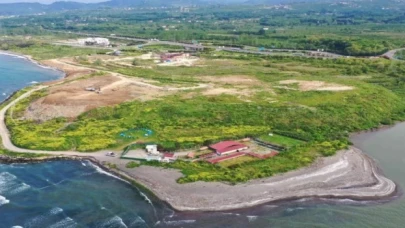 Vahşi çöplük meyve cenneti oluyor