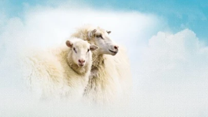 Bayramımız mübarek olsun!