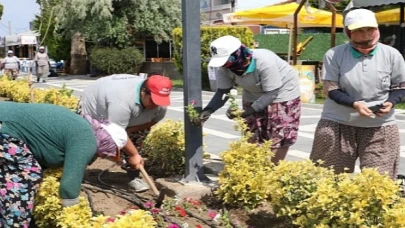 Burhaniye Çiçeklerle Renkleniyor