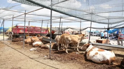 Kayseri Büyükşehir kurban tedbirlerini aldı