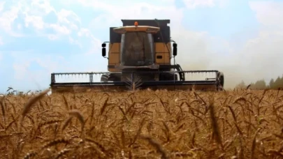 TÜİK: Tarım enflasyonu zirve yaptı