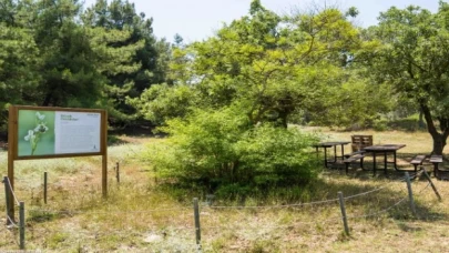 Afrika İzmir’e geldi