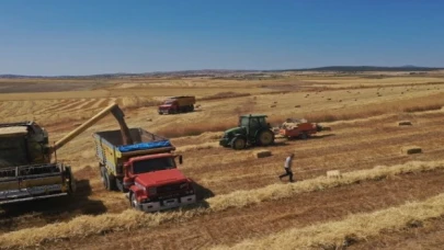 Belediyenin buğdayları un olarak dağıtılacak