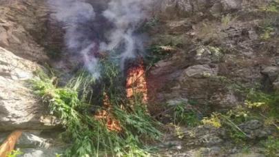 Bingöl’de 3 bine yakın kök yerinde imha edildi!