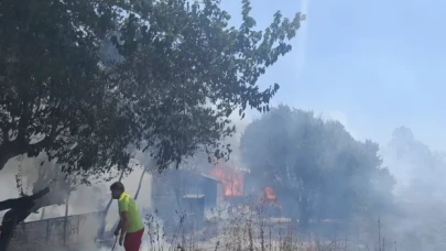 Bodrum'da makilik alanda yangın! 'Tiny house'lara da sıçradı