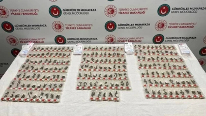 Sabiha Gökçen Havalimanı'nda karniyol cinsi 1240 canlı arı ele geçirildi