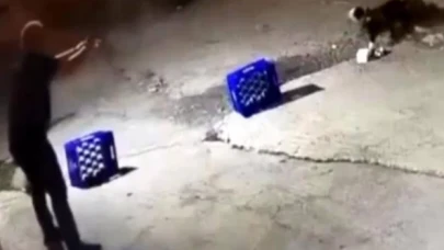 Sakarya'da direğe bağlı köpeği 14 kurşun ile öldüren zanlı tutuklandı