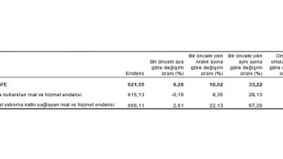 Tarımsal girdi fiyat endeksi (Tarım-GFE) yıllık yüzde 33,22, aylık yüzde 0,26 arttı