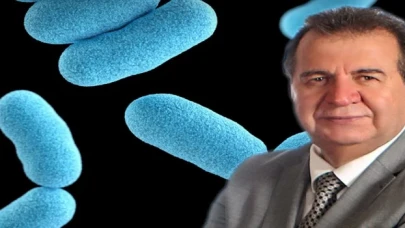 Anne sütündeki mucize bakteri: Akkermansia