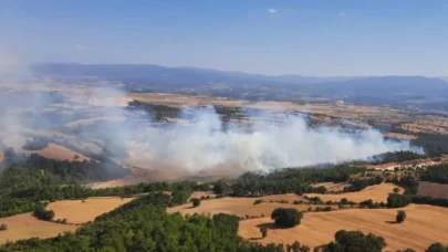 Çanakkale'nin Çan ilçesinde orman yangını çıktı