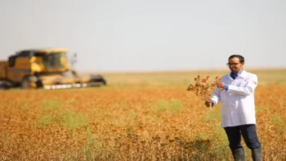 Konya’da susuz tarımla aspir hasadı