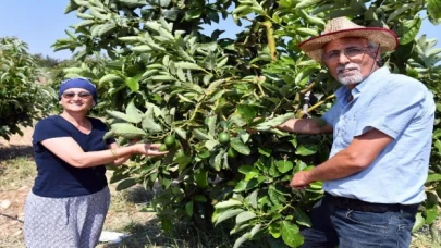 Üreticilere kazançlı avokado desteği