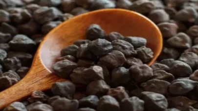 Mardin Anıtlı’da ’Kara Nohut’a coğrafi işaret