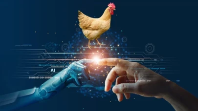 Yapay zeka tavuk seslerini tercüme ediyor