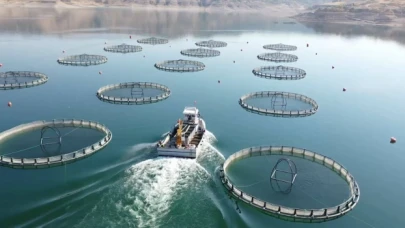 Bakan Yumaklı: Uygun alanlarda istiridye yetiştiriciliğini başlatmayı planlıyoruz