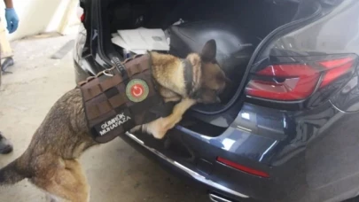 Büyükelçilik aracıyla Türkiye'ye 58 kilo kokain sokarken yakalandılar