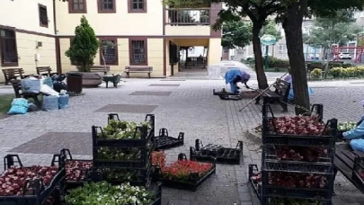 -Osmangazi Belediyesi ilçeyi çiçek bahçesine çeviriyor