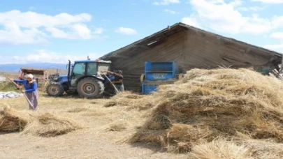 Buğdayın atası siyez üretimi artıyor