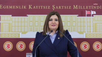 İYİ Partili Selcan Hamşıoğlu: Bu çağda "saray sanatçısı" diye bir kavramın oluşmuş olmasından rahatsızlık duymuyor musunuz?