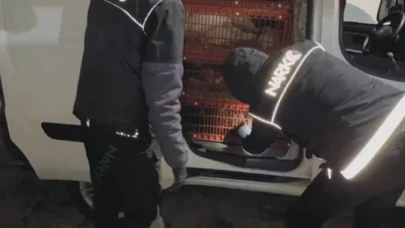 Canlı tavuk yüklü araçtan uyuşturucu çıktı: 2 gözaltı