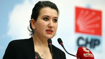 CHP Genel Başkan Yardımcısı Gökçe Gökçen'den Meriç Demir Karaman'ın çağrısına destek