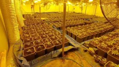 Dışı fabrika içi uyuşturucu serası: Gizli odalarda çok sayıda malzeme ele geçirildi