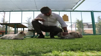 Kayseri’de Küçük Dostlar Kedi Kasabası’na ilgi akını