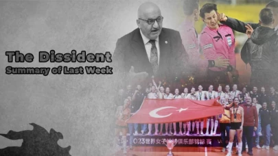 News Summaries from Last Week - December 19th