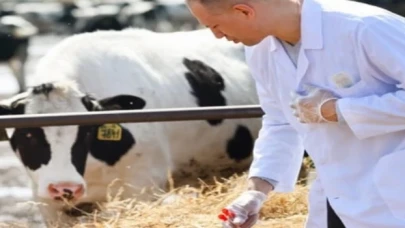 Tarımsal girdide veteriner harcamaları ilk sırada