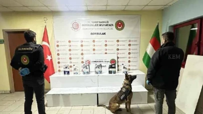 Ticaret Bakanlığı: Kapıkule Gümrük Kapısı'nda 33 piton, yolcu treninde ele geçirildi