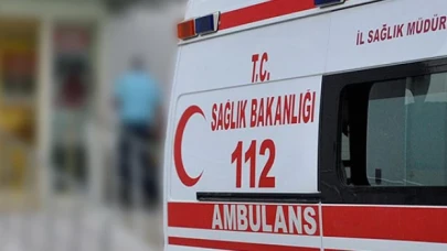 Balon balığı yiyen 2'si çocuk 7 kişi zehirlendi