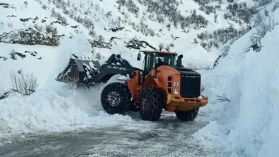 Çığ nedeniyle kapanan Yüksekova-Şemdinli kara yolu açıldı